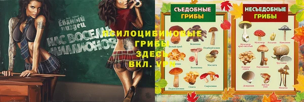 mdpv Балахна
