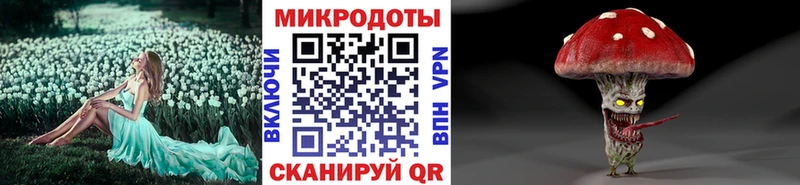 Псилоцибиновые грибы Psilocybine cubensis  Павловск 