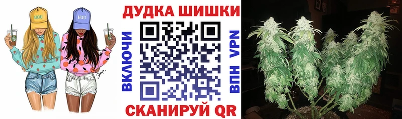 Бошки Шишки гибрид  Павловск 